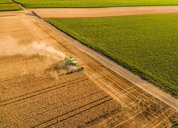 Aerial view of combine harvester at farm harvesting wheat crop field