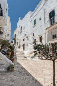 Potted plants on street amidst buildings in city