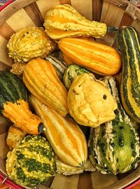 Close-up of pumpkins