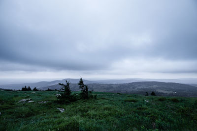 Scenic view of field against sky