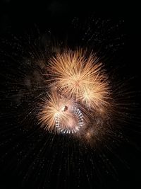 Low angle view of firework display at night