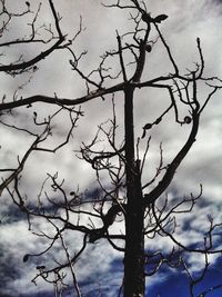 Low angle view of bare tree against cloudy sky