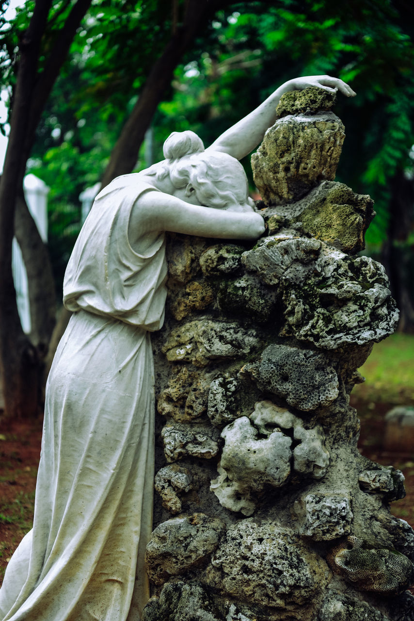 CLOSE-UP OF STATUE AGAINST TREE