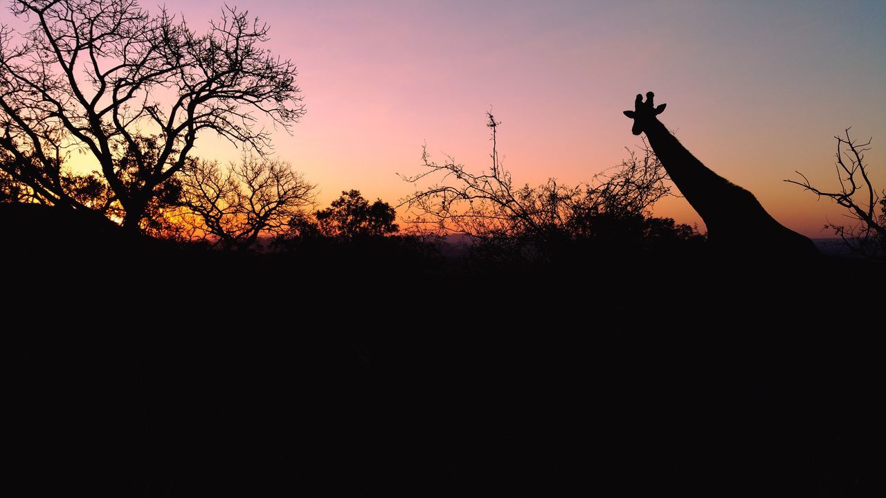 Bongani Mountain Lodge