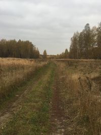 Scenic view of land against sky