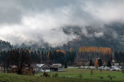 Houses and trees on field against sky