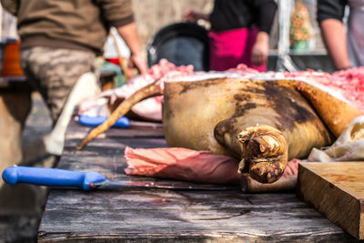 Butchers slaughtering a pig folowing the romanian tradition before christmas