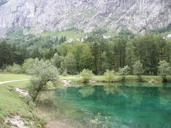 Scenic view of river in forest against sky