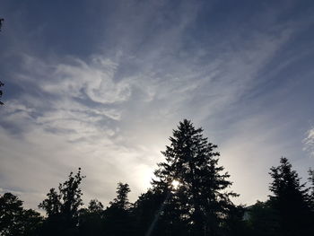 Low angle view of trees against sky during sunset