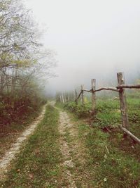 Scenic view of landscape against sky during foggy weather