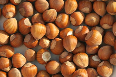 Full frame shot of hazelnuts