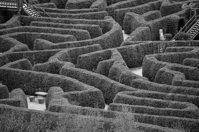Full frame shot of a maze