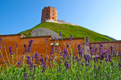 Gediminas' tower or castle, the remaining part of the upper castle in vilnius, lithuania