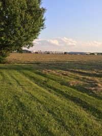 Scenic view of field against sky