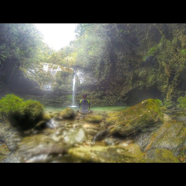 transfer print, auto post production filter, water, tree, waterfall, nature, forest, flowing water, motion, rock - object, beauty in nature, flowing, tranquility, green color, day, scenics, growth, stream, sunlight, no people