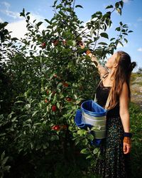 Woman picking apples