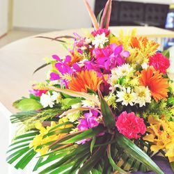 Close-up of flowers blooming outdoors