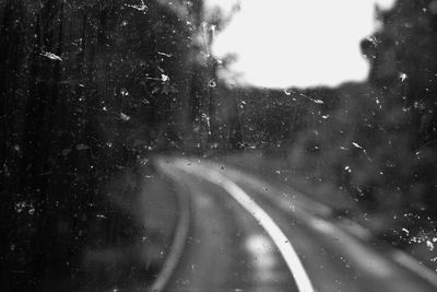 Road passing through forest