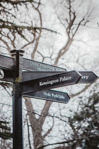 Low angle view of sign on tree against sky