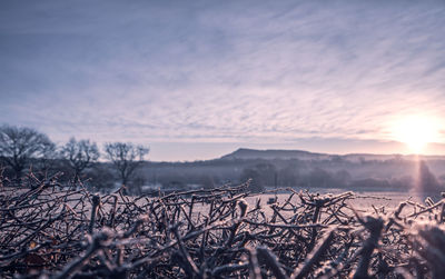 A frozen misty field at sunrise. 