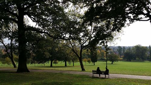People sitting on bench in park