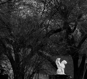 Low angle view of statue on bare tree