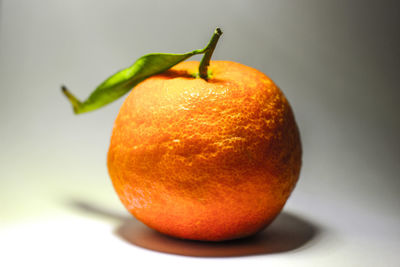 Close-up of apple against orange background