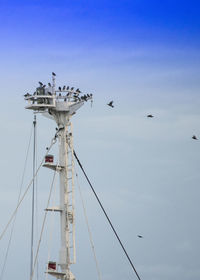 Low angle view of birds perching on antenna against sky