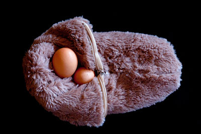 Close-up of eggs in fur bag over black background