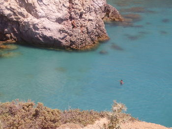 High angle view of duck swimming in sea