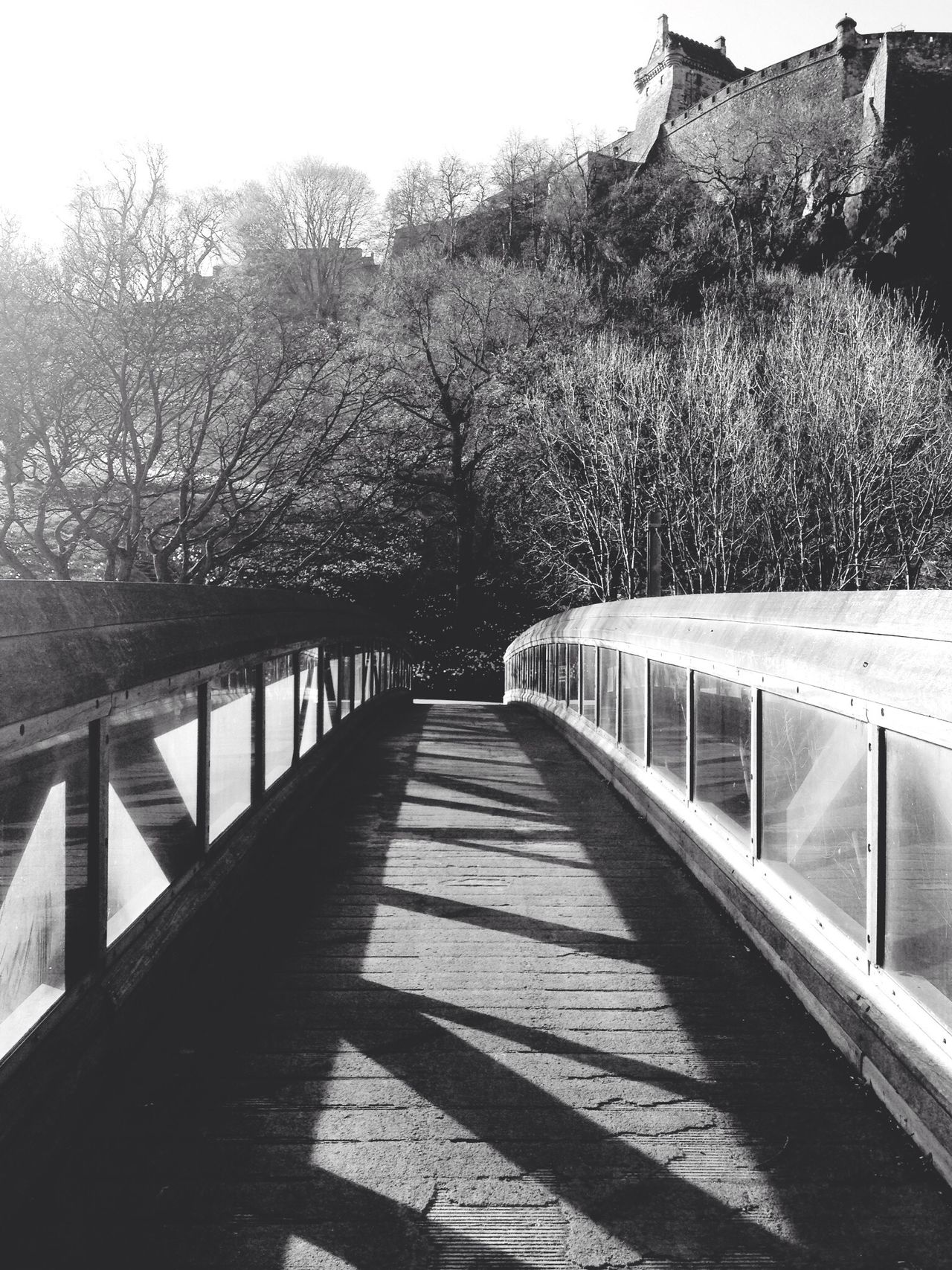 Princes Street Gardens