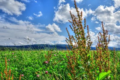 Scenic view of field against cloudy sky