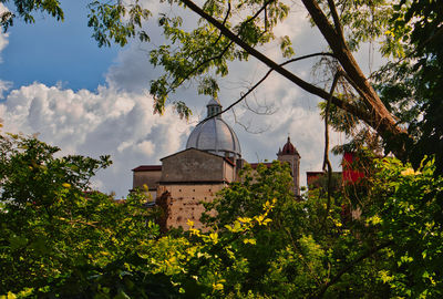 Low angle view of trees and building against sky