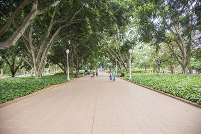 People walking on road amidst trees in park