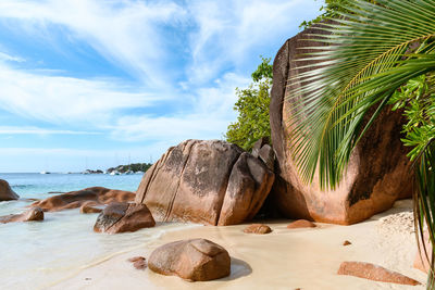 Tropical landscape, sea, summer, beach, palm trees.