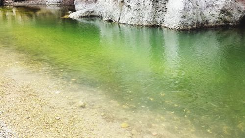 Scenic view of lake