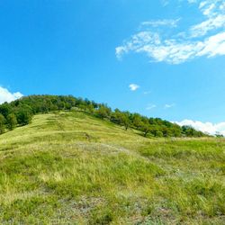 Scenic view of landscape against blue sky