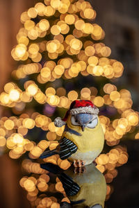 Close-up of illuminated christmas lights