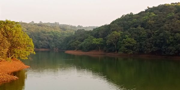 Scenic view of lake by trees against sky
