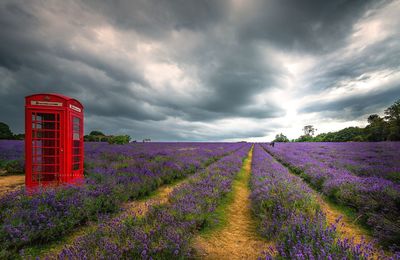 Scenic view of field against cloudy sky