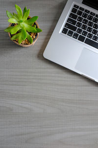 High angle view of potted plant on table