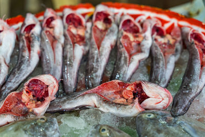 Close-up of fish for sale in market