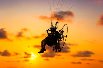 Close-up of silhouette insect against orange sky