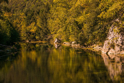 Scenic view of lake in forest during autumn