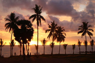 Silhouette palm trees on beach against sky at sunset