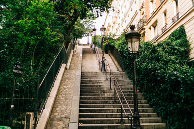 Low angle view of steps amidst buildings