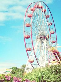 amusement park