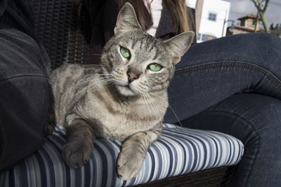 Portrait of man sitting on sofa