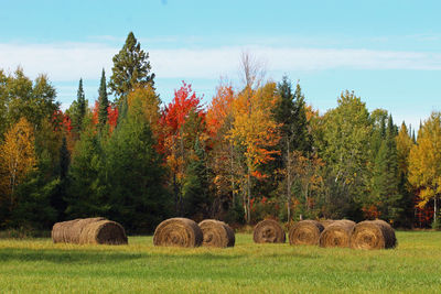 Hay bales on field against sky