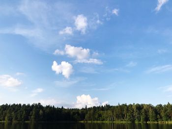 Scenic view of forest against sky